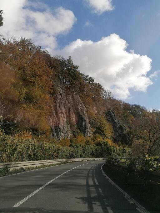 Sauerlandluft Διαμέρισμα Balve Εξωτερικό φωτογραφία